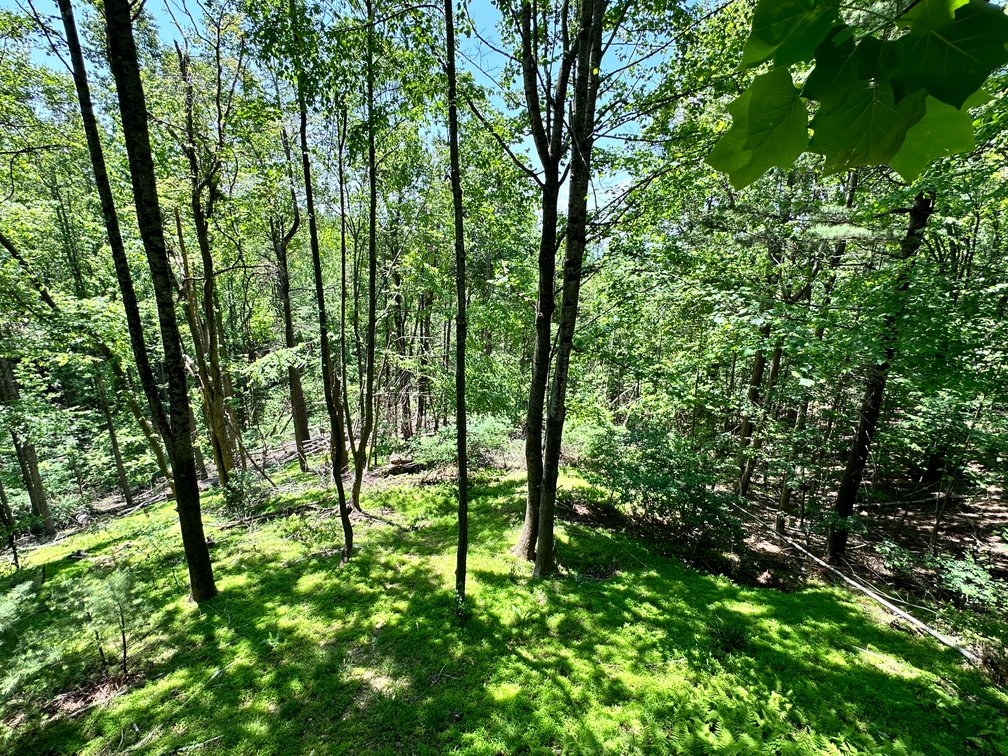 Image for Home For Sale in Fancy Gap, Virginia - 151 Powhatan