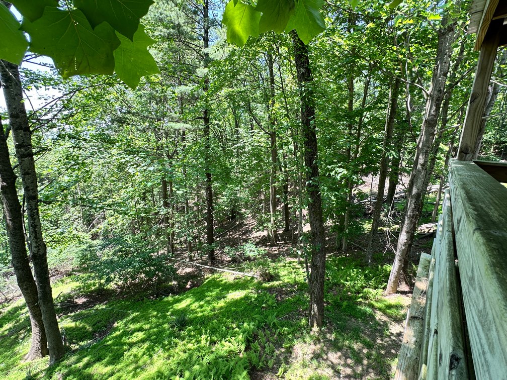 Image for Home For Sale in Fancy Gap, Virginia - 151 Powhatan
