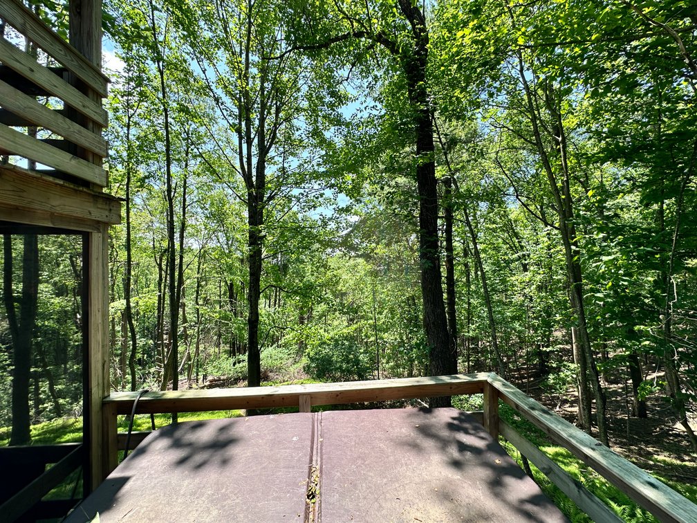 Image for Home For Sale in Fancy Gap, Virginia - 151 Powhatan