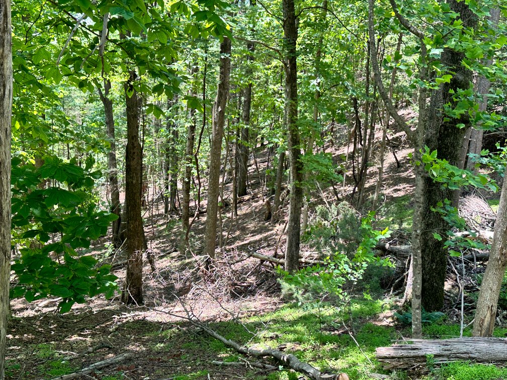 Image for Home For Sale in Fancy Gap, Virginia - 151 Powhatan