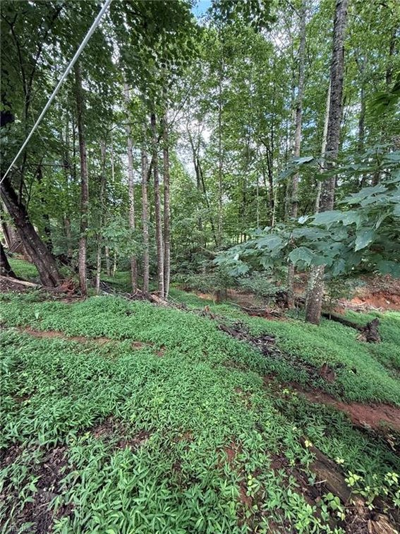 Image for Land For Sale in Mount Airy - Sideview Lane Lots 4, 5, and 6