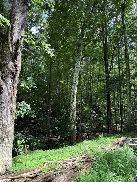 Image for Land For Sale in Mount Airy - Sideview Lane Lots 4, 5, and 6