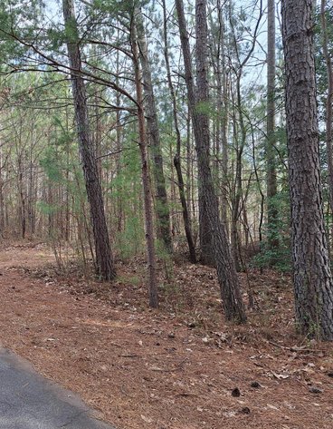 Land Parcel in Granite Falls, NC