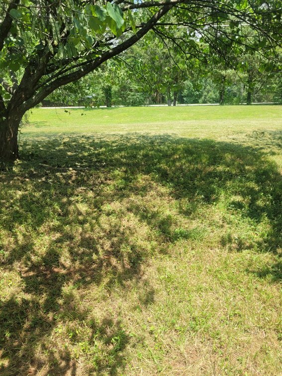 Image for Bankruptcy Liquidation by Daniel C. Bruton, Bankruptcy Trustee, Case #25-50103 - Double Wide Home in Tobaccoville