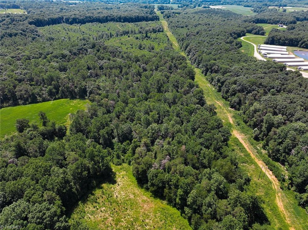 Image for 47± Acres in Siloam, NC – Land Auction
