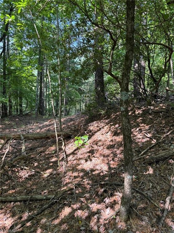 Image for Lot For Sale in Lowgap - Lot# 33 Jonathan Drive