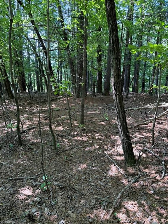 Image for Lot For Sale in Lowgap - Lot# 33 Jonathan Drive