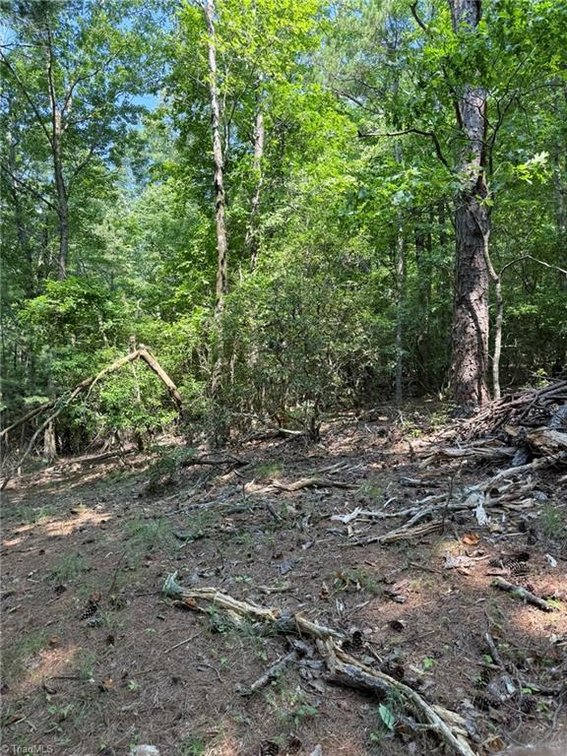 Image for Lot For Sale in Lowgap - Lot# 33 Jonathan Drive