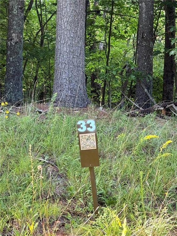 Image for Lot For Sale in Lowgap - Lot# 33 Jonathan Drive