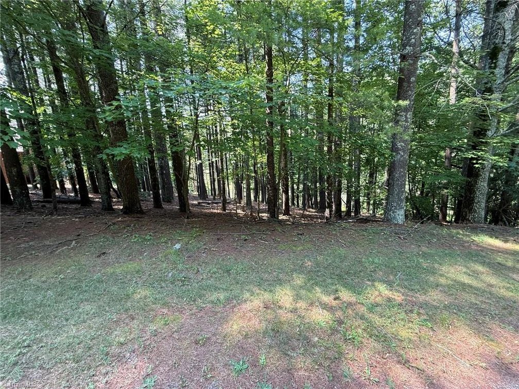 Image for Lot For Sale in Lowgap - Lot# 33 Jonathan Drive