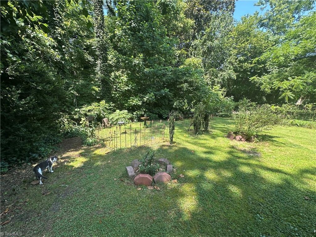 Image for Home For Sale in Mount Airy - 651 Willow Street