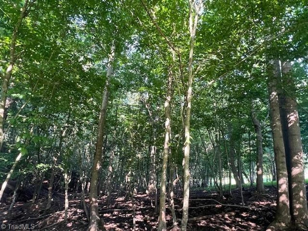 Image for Land For Sale in Mount Airy - 000 Potts Road