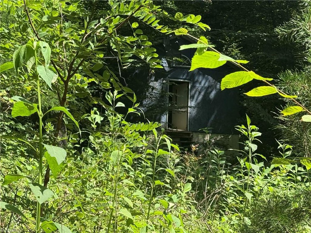 Image for Land For Sale in Cana, Virginia - 24 Copperhead Road