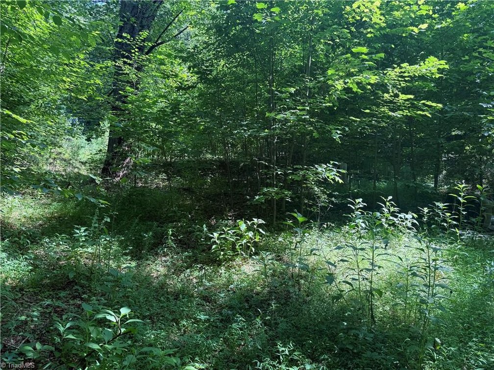 Image for Land For Sale in Cana, Virginia - 24 Copperhead Road