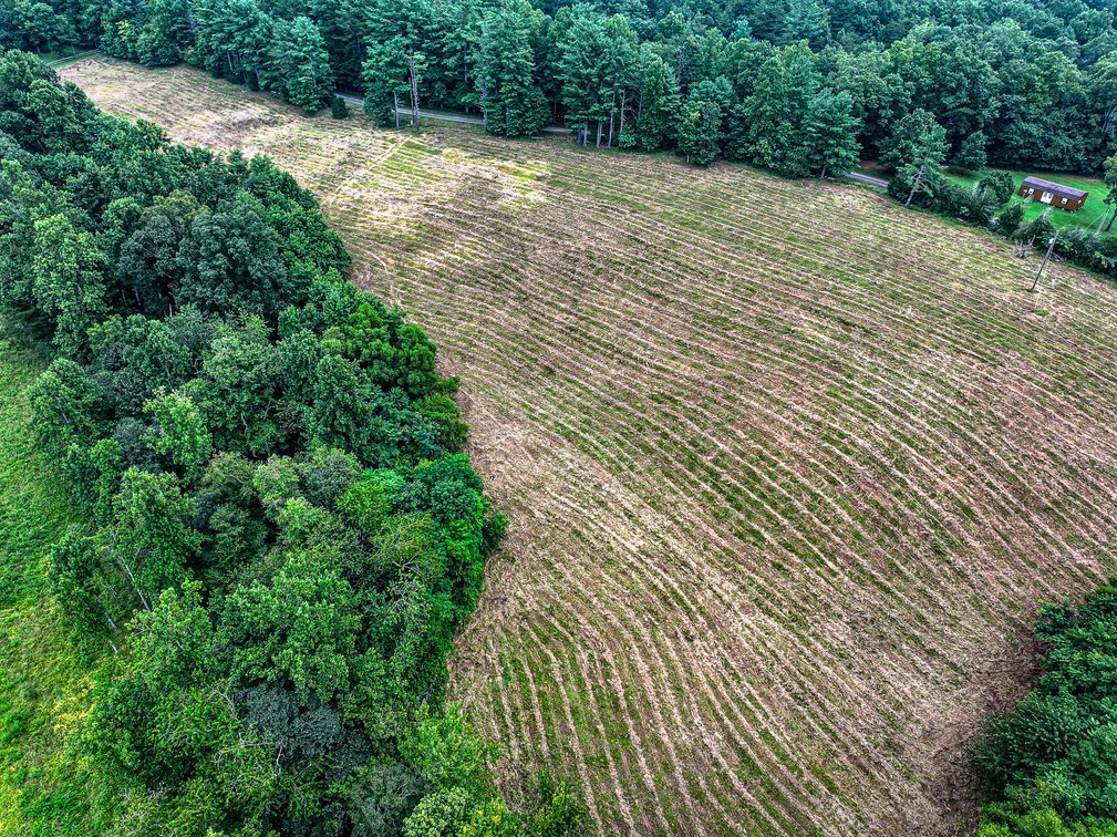 Image for Brick Ranch Home on 22± Acres in Lowgap, NC