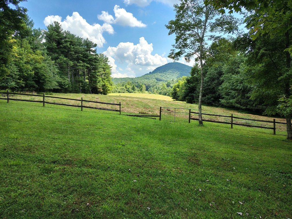 Image for Brick Ranch Home on 22± Acres in Lowgap, NC