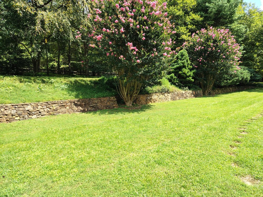 Image for Brick Ranch Home on 22± Acres in Lowgap, NC