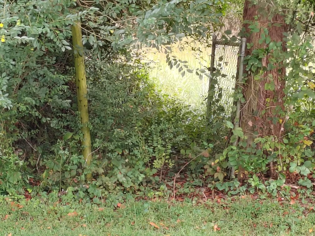 Image for Home For Sale in Dobson - 105 Pepperbush Trail