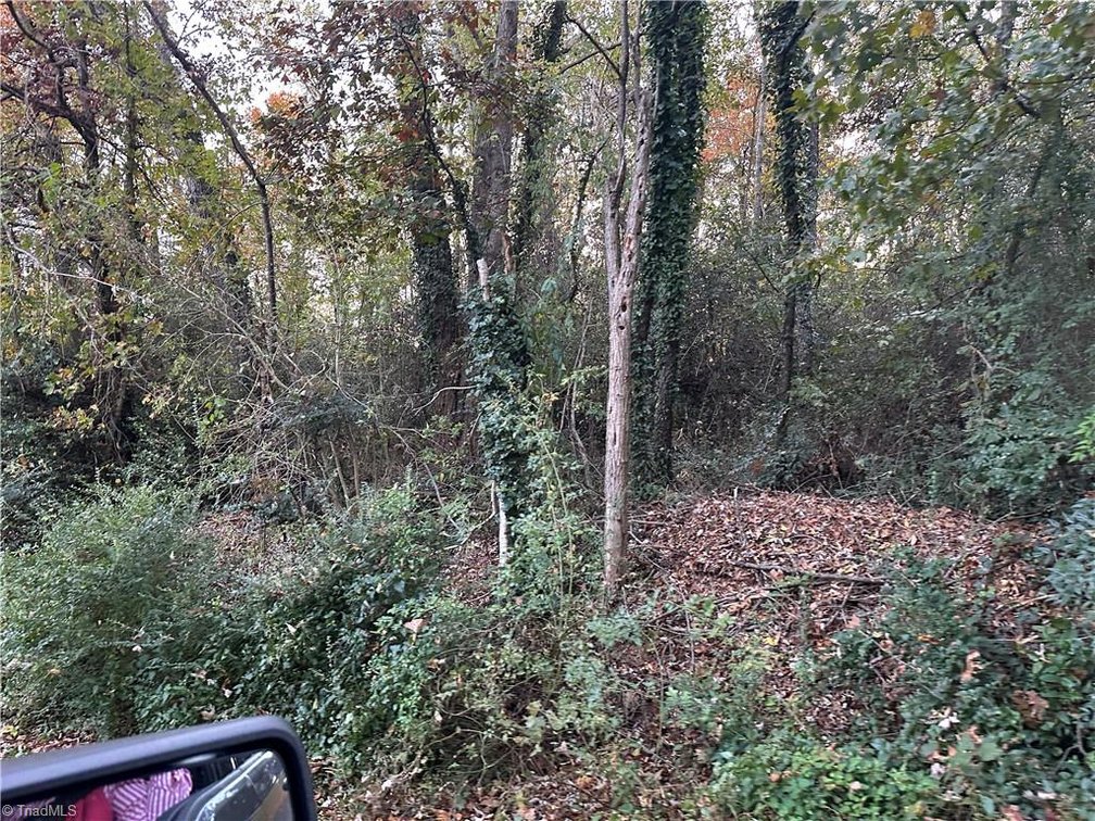 Image for Land For Sale in Mount Airy - 000 Old Childress Avenue