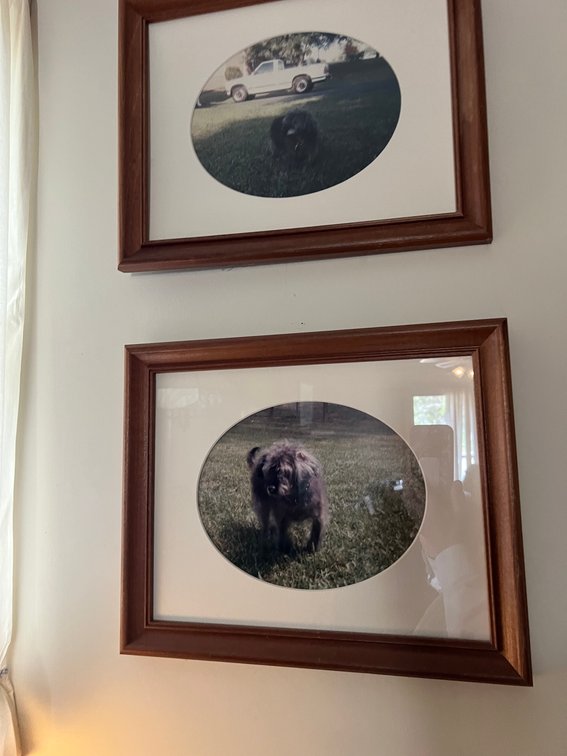 Image for Estate of the Late Cornelia P. Brinkley – Tools, Furniture, Collectibles & Household Goods