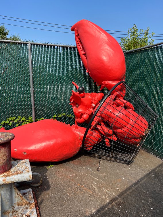 12' lobster