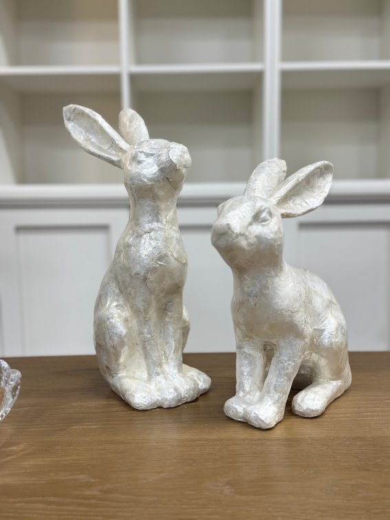 Cute rabbits
