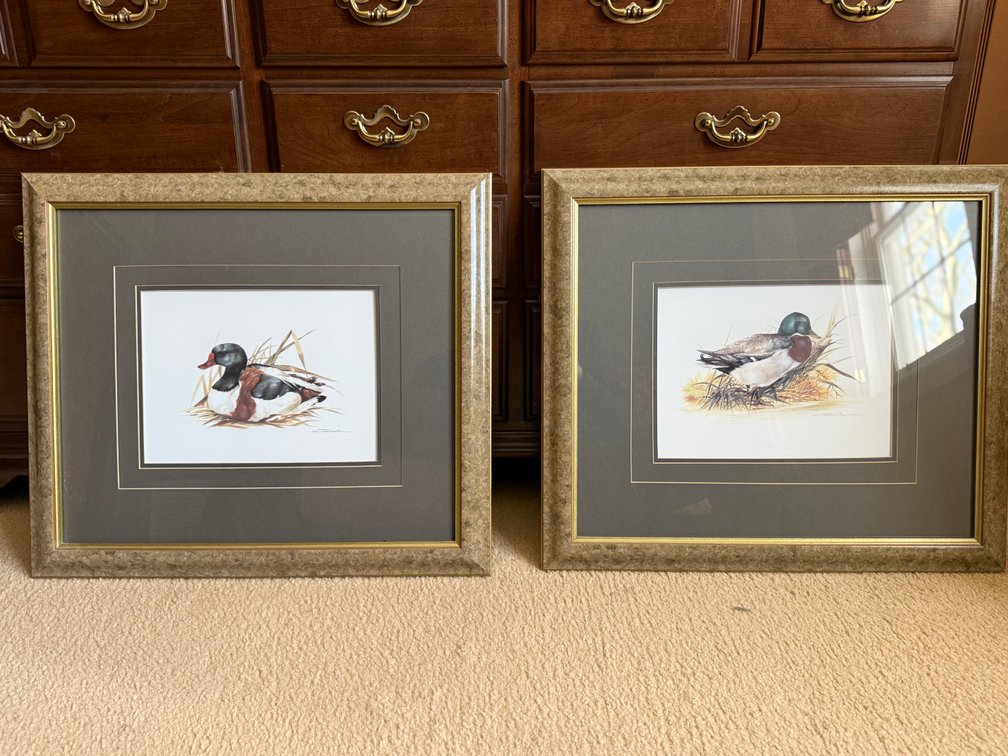 2 duck prints