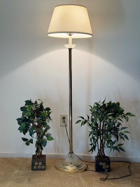 Floor lamp, and plants