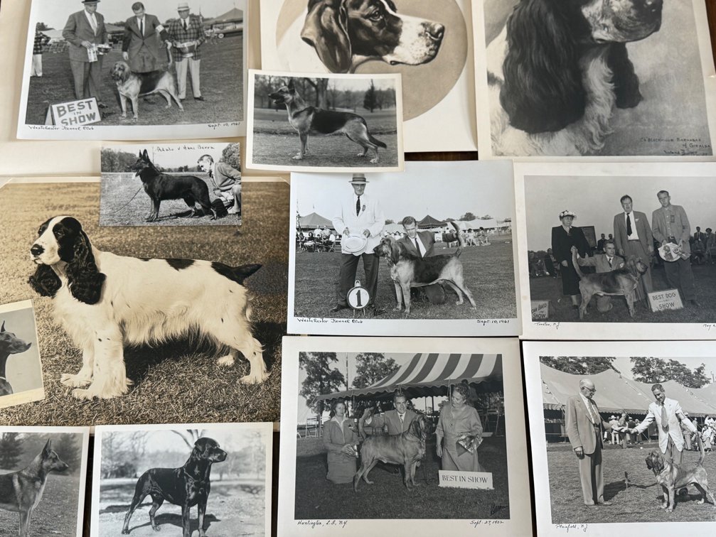 WM Brown Original Photographs