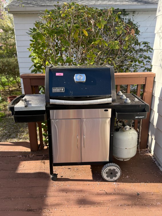 Weber gas grill