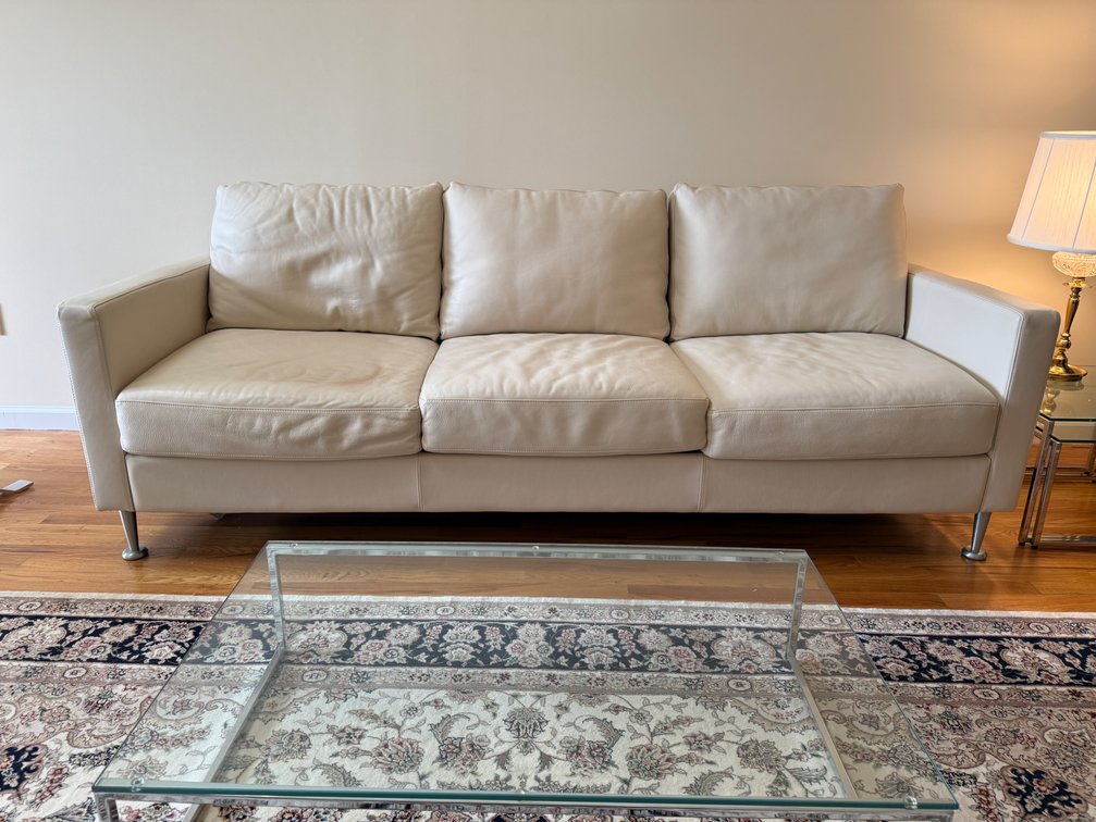 Modern leather couch