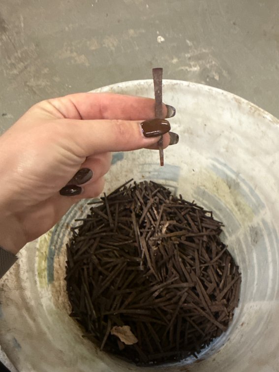 Antique Square-Cut Metal Nails