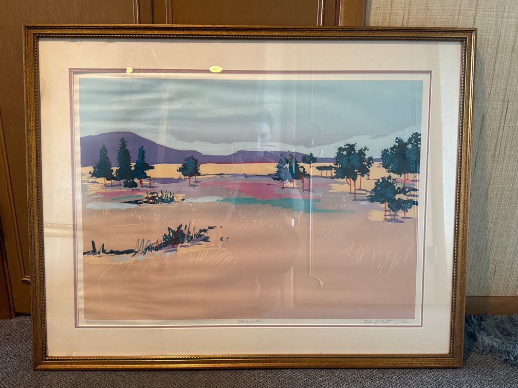 Heidi M. Coutre "Meadowlands" Framed Print