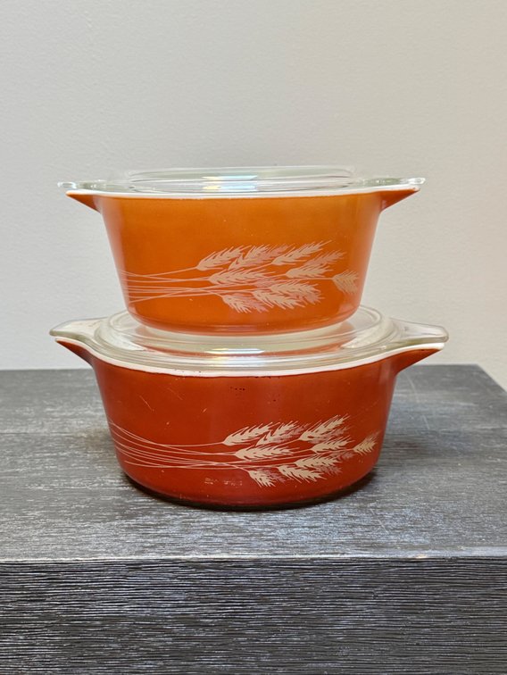Pyrex Autumn Harvest Casseroles with Lids (2)