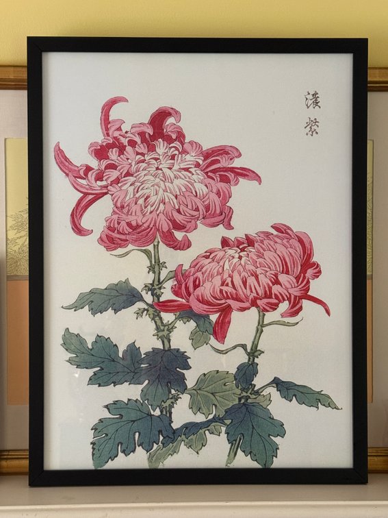 Framed Chrysanthemum Botanical Digital Print