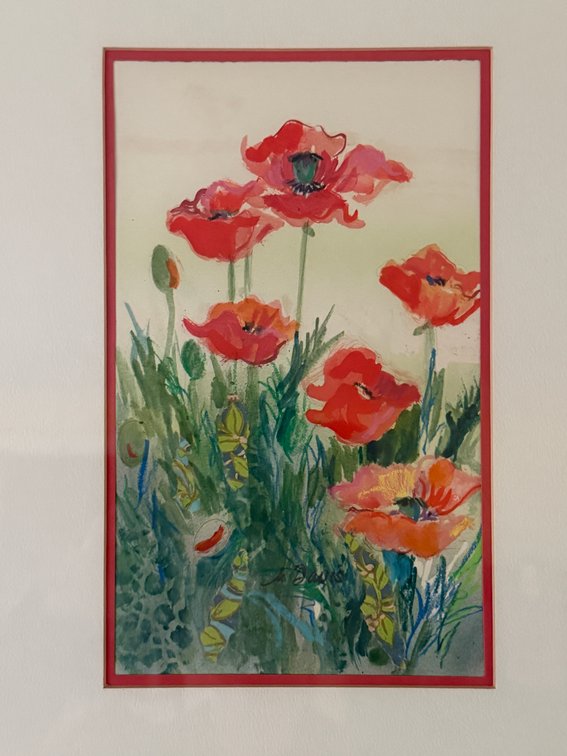 Framed Red Poppies Watercolor Painting