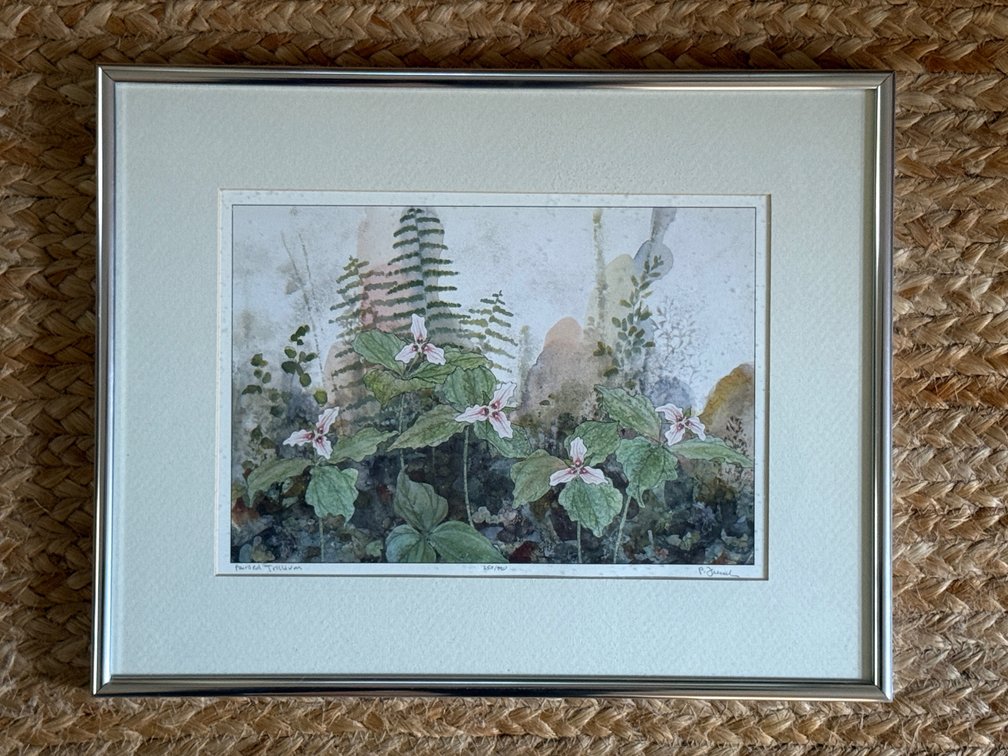 P. French "Painted Trillium" Botanical Print