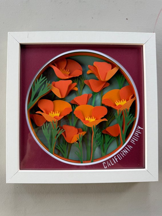 3D framed art