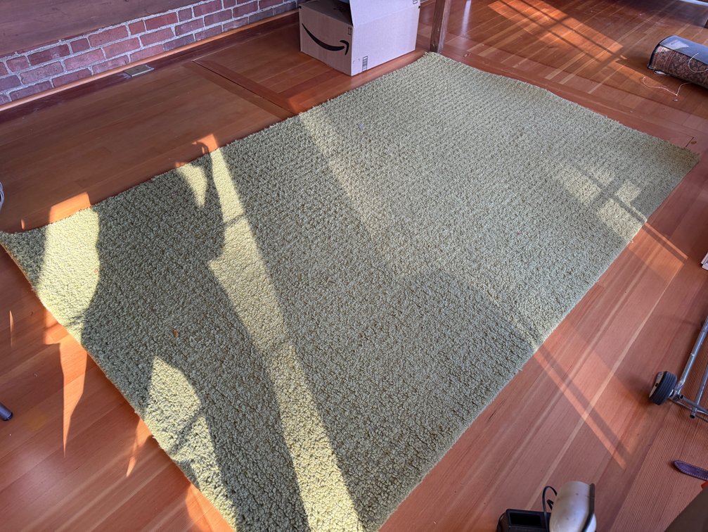5' x 8' wool rug