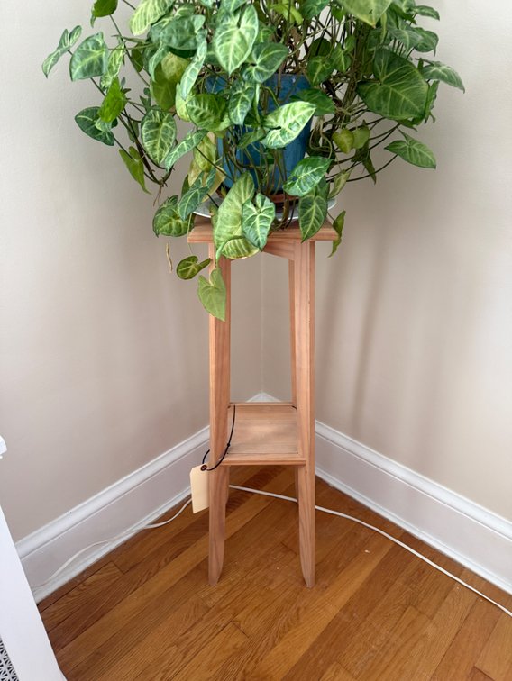 Wood plant stand 