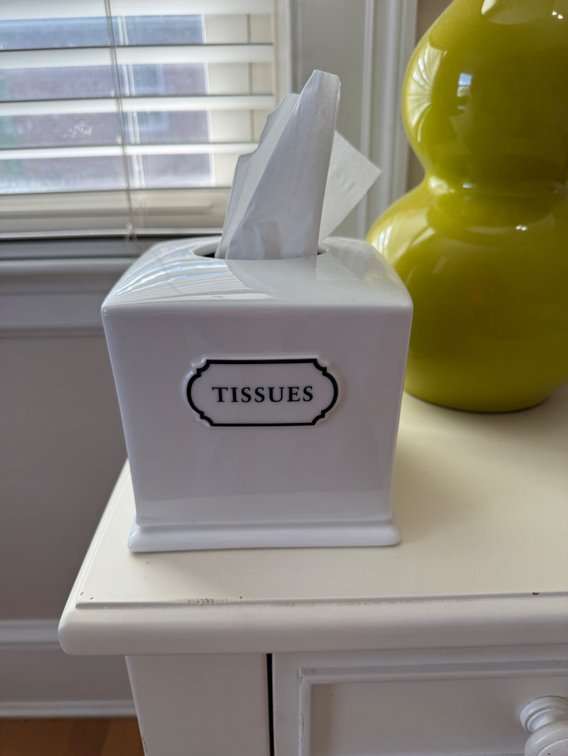 Tissue box holder 