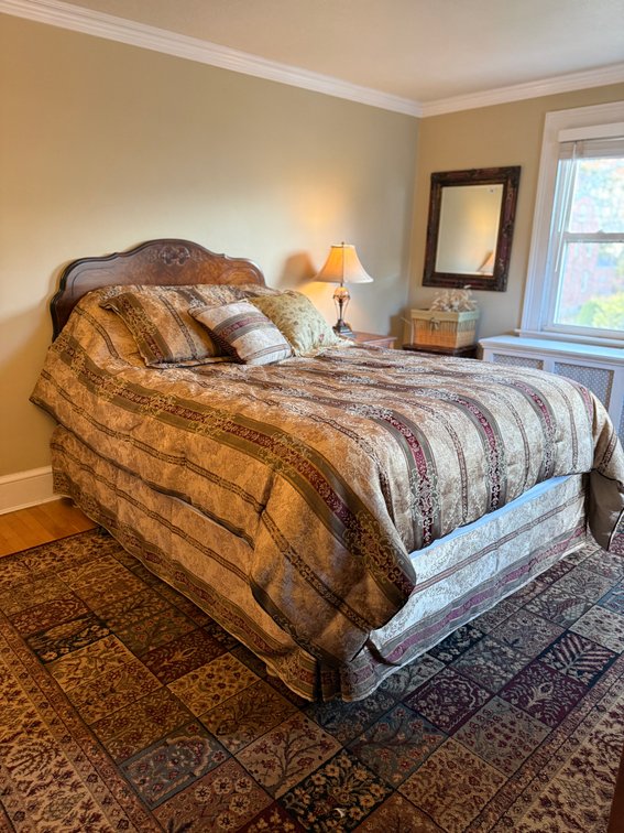Antique bed set & duvet