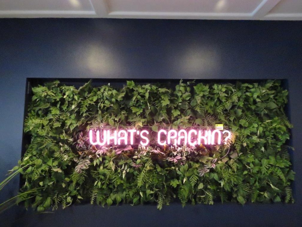 Neon "What's Crackin" Sign 120V 48"x7", Fake Plant Decor