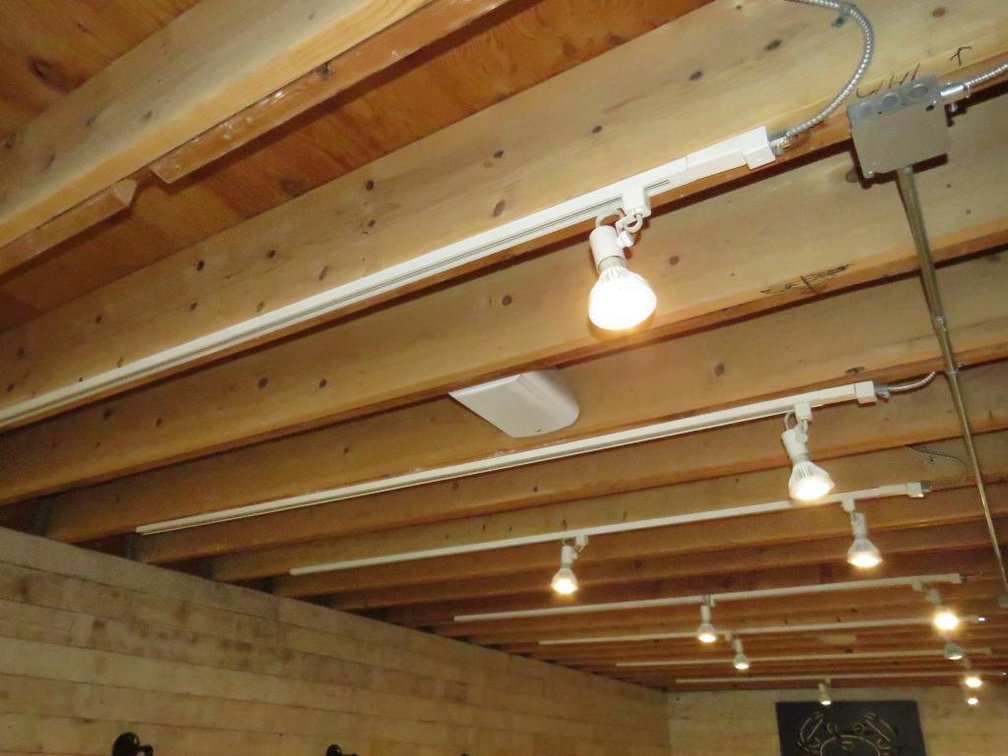 All White Track Lighting on Ceiling (NO TRACK - LIGHTS ONLY), WAL Brand, LED