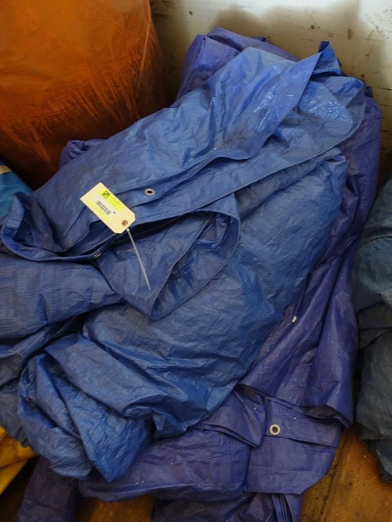 3 Blue Tarps