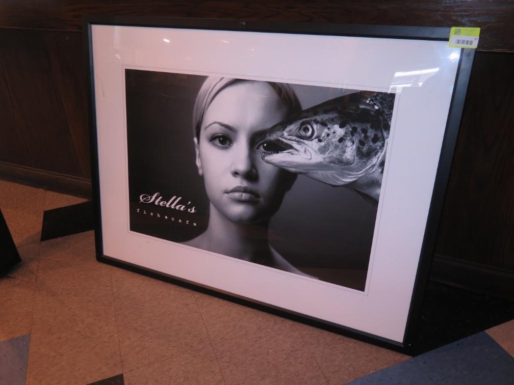 Stella's Framed Picture, 53"x40"