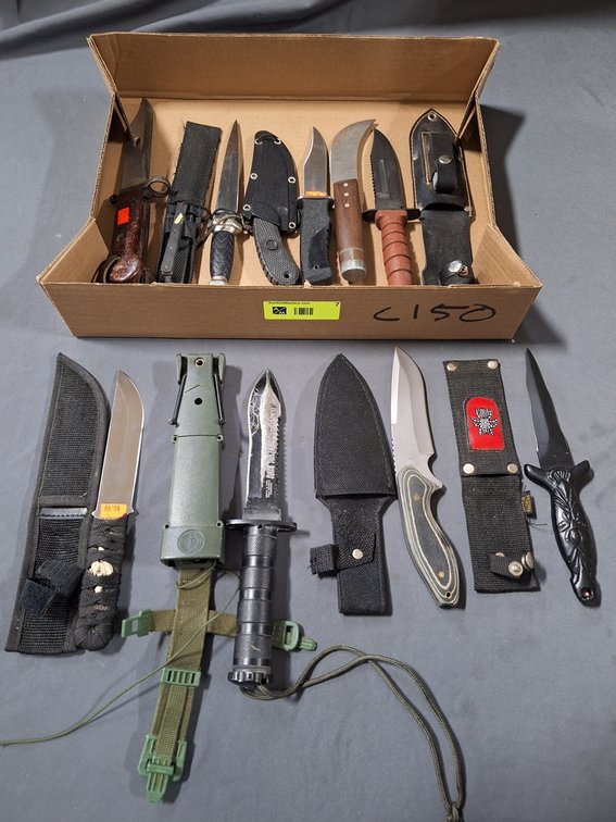 11 Assorted Fixed Blade Knives, 4" to 6" Blades