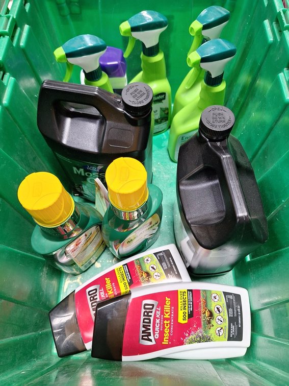 Assorted Indoor/Outdoor Insect Killer