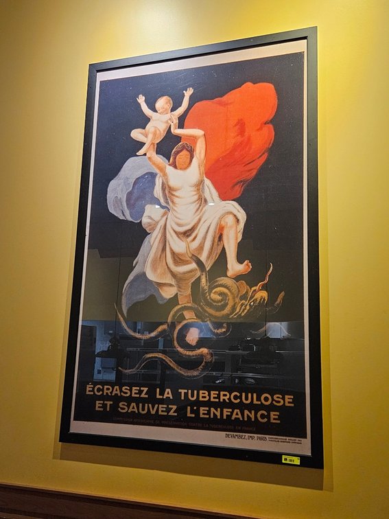 Ecrasez La Tuberculose Framed Picture, 46"x74"