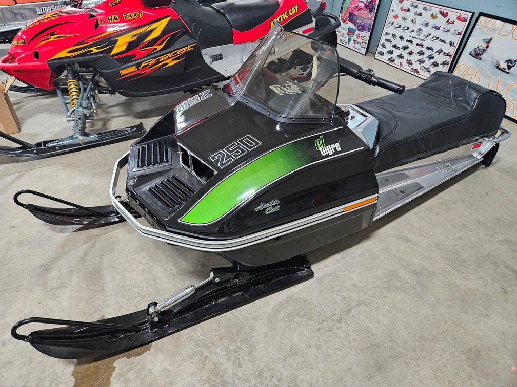 1973 Arctic Cat el Tigre 250